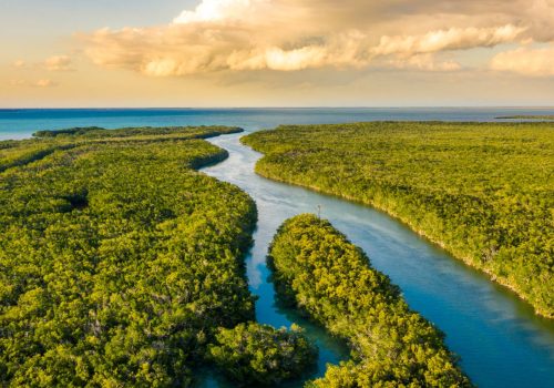 Everglades-Photo-Sima-Skafar-Shutterstock